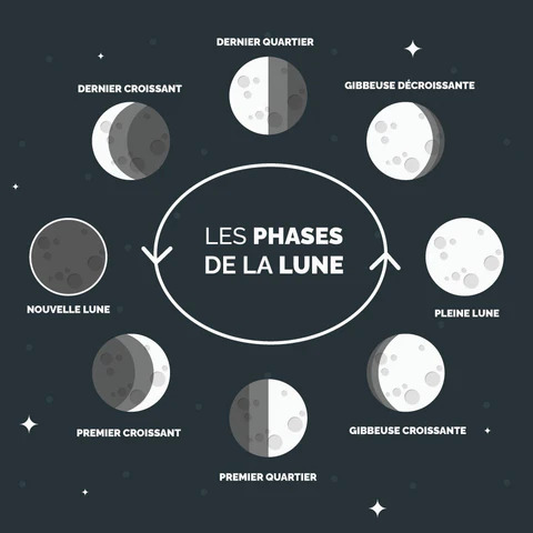 les-phases-de-la-lune_480x480 les-phases-de-la-lune_480x480